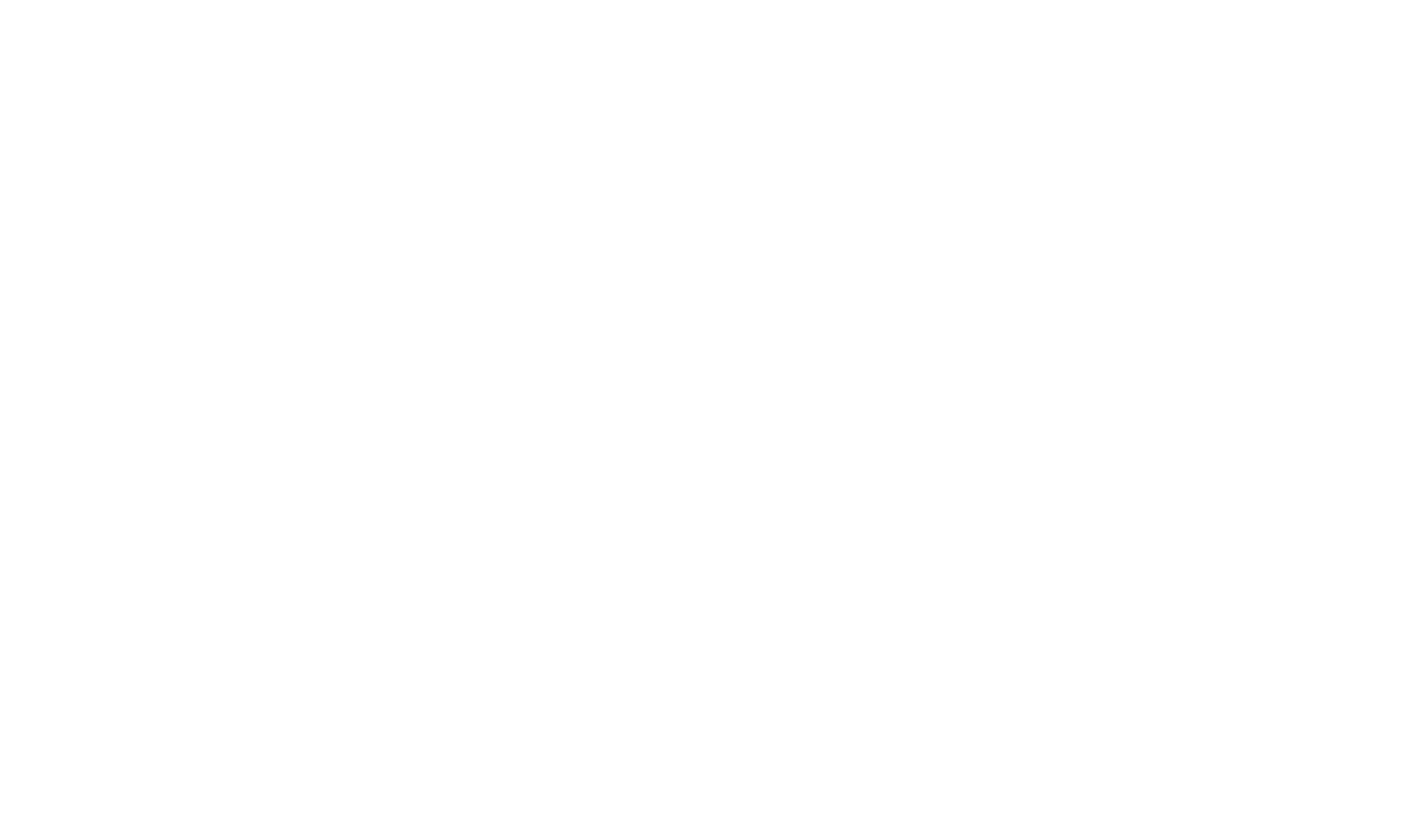 WX Logo
